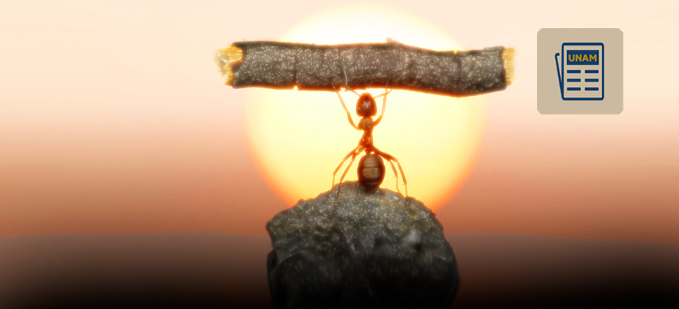 Resiliencia o resistencia, ¡esa es la cuestión!